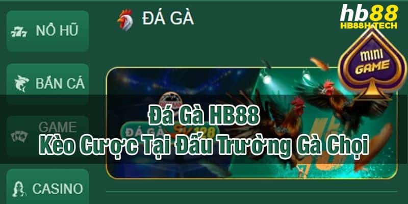 Cửa cược đa dạng với tỷ lệ thưởng hấp dẫn bậc nhất